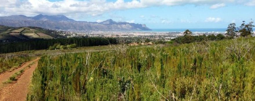 Helderberg Nature Reserve