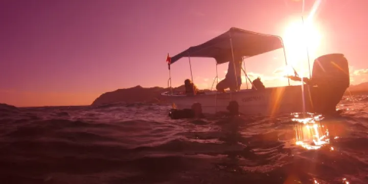 Cabo Pulmo Marine Preserve