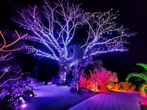 Naples Botanical Garden
