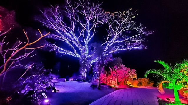 Naples Botanical Garden