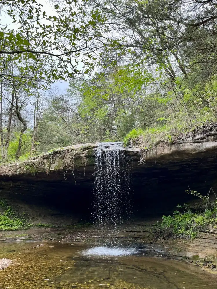 阿拉巴姆鎮區住宿飯店