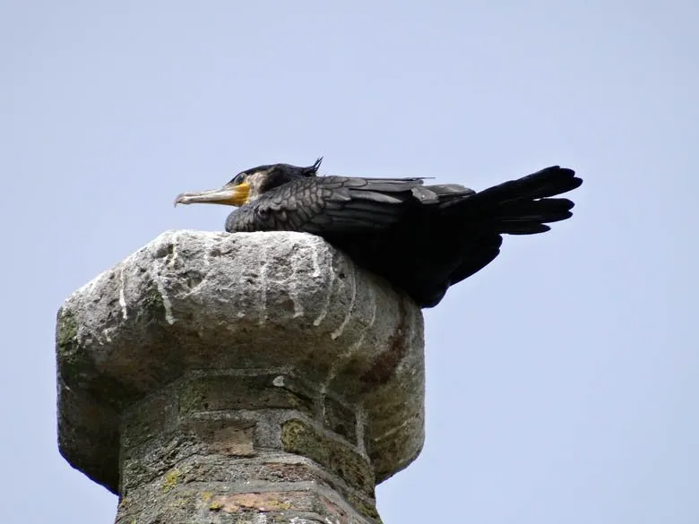 4_Seven Towers Farm (Zeven Torentjes)