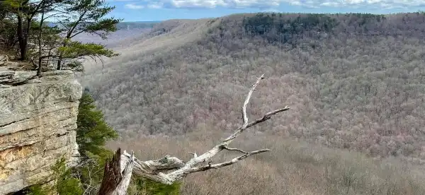 Hotels in Monteagle