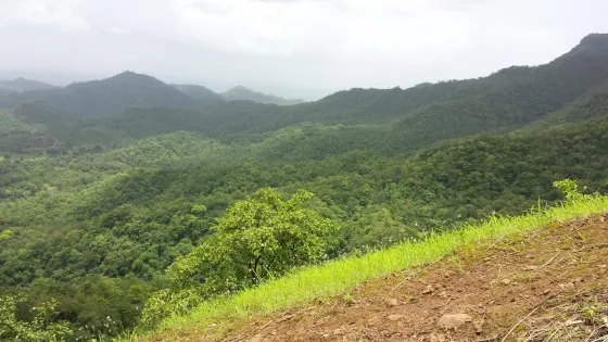 Mahuli Fort