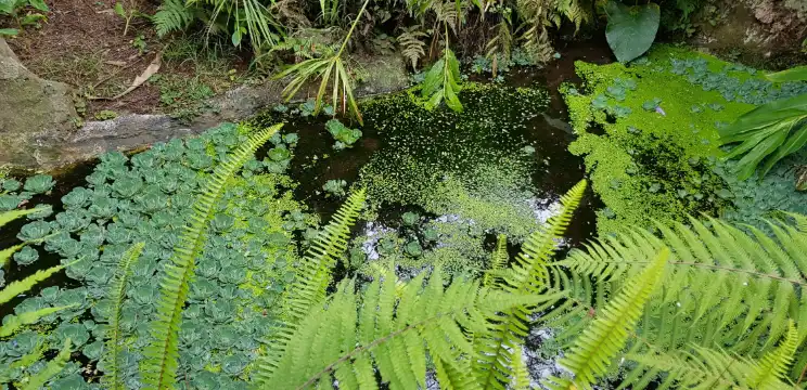 โรงแรมใกล้Maui Nui Botanical Gardens