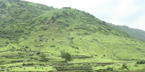 Kharghar Hills