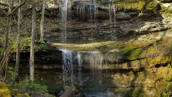 Crab Orchard National Wildlife Refuge