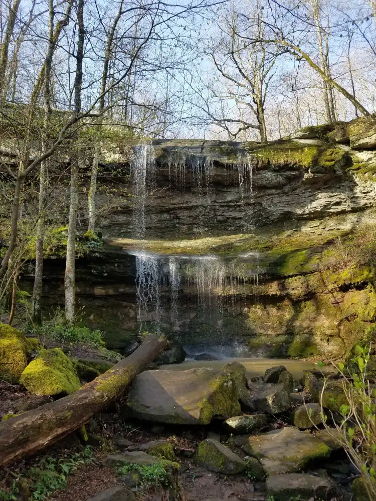 Hotels in Williamson County