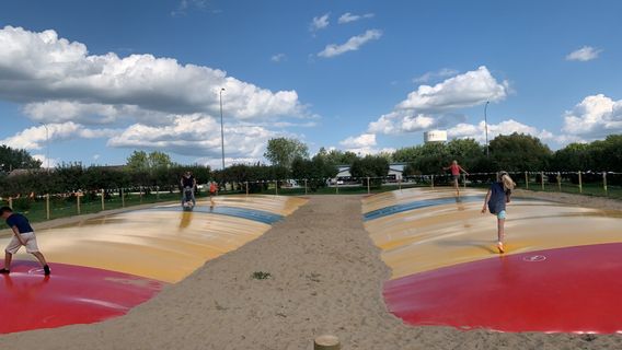 Country Apple Orchard & Christmas Tree Farm