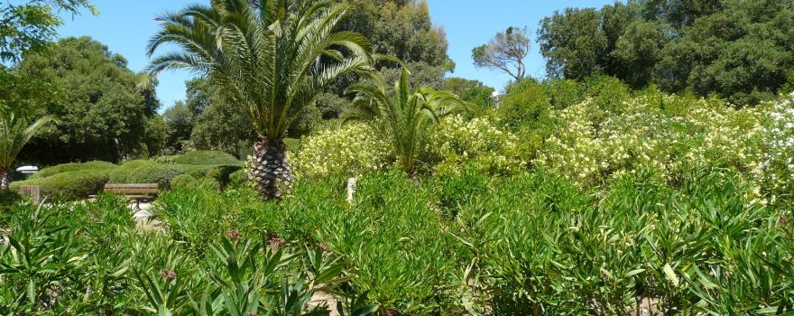 Parc Areca Jardin Botanique