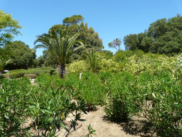 Parc Areca Jardin Botanique