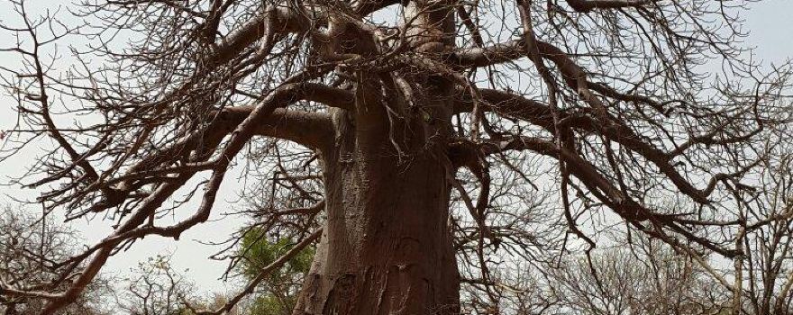 Musina Nature Reserve