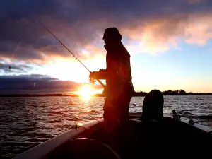 Bobber Down Guide Service