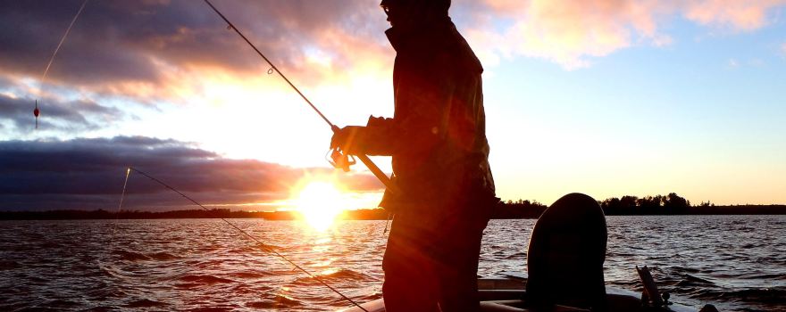 Bobber Down Guide Service