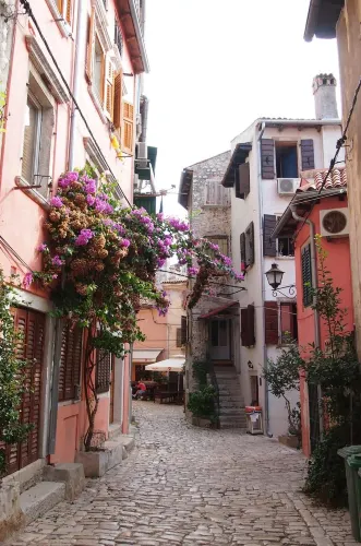 Trevisol Street