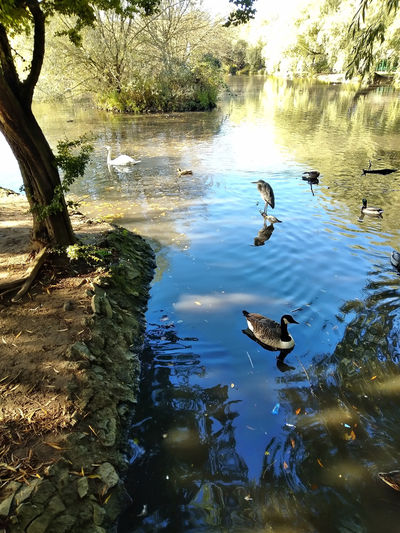 Locke Park