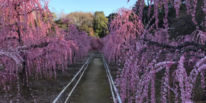 菅原神社