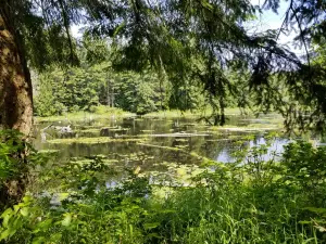 Lord Hill Park