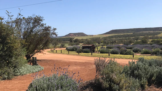 Copperhead Road Distillery