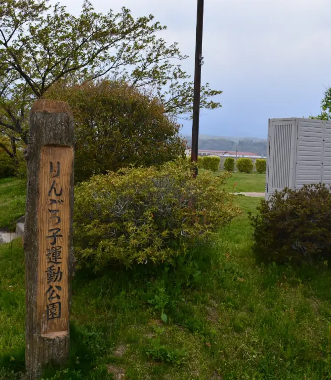 Toyooka