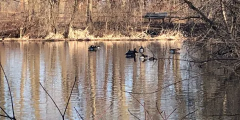 Emily Oaks Nature Center