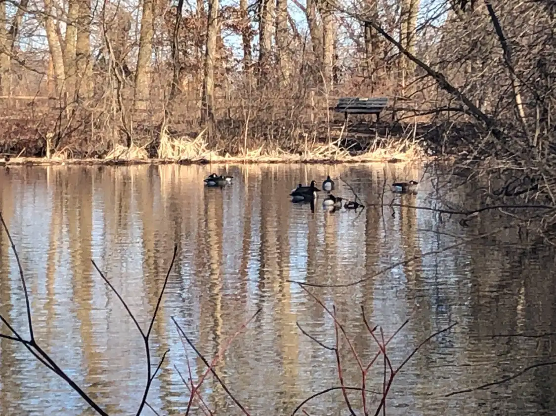 Hotels near Emily Oaks Nature Center