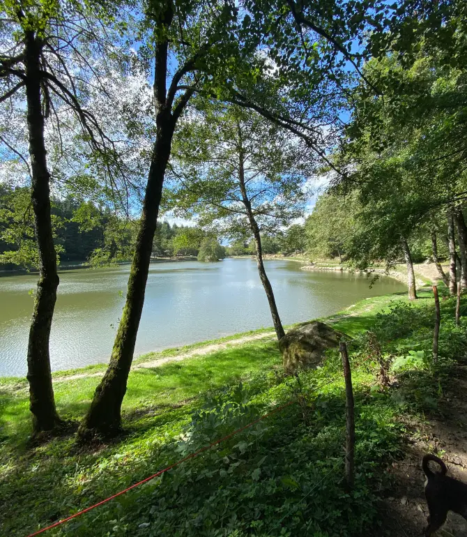Bagno di Romagna