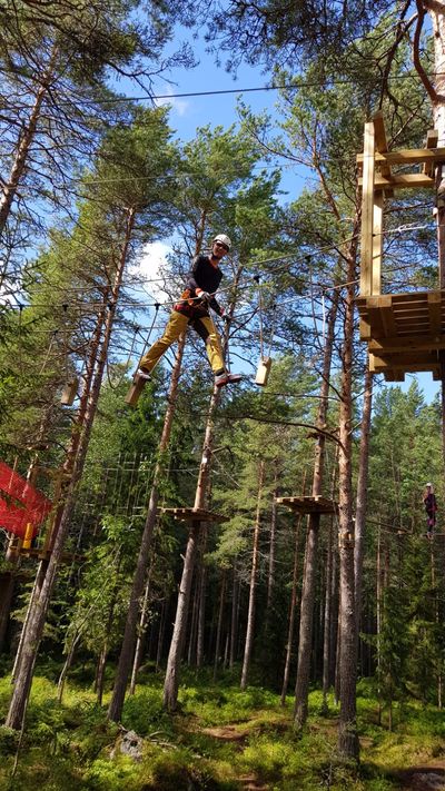 Zip Adventure Park