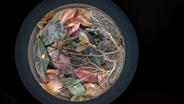 Museo Missionario Indios