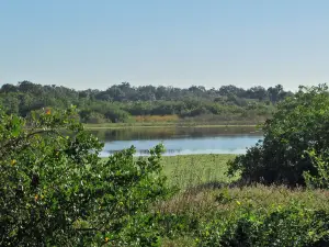 Charlotte Harbor Preserve State Park