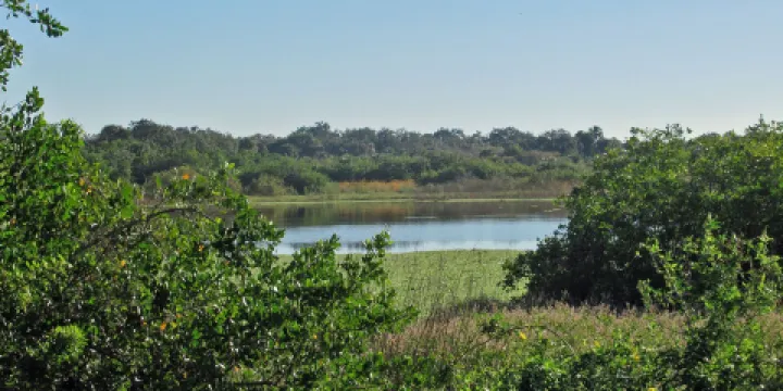 Charlotte Harbor State Park