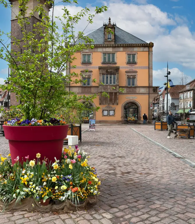 Obernai