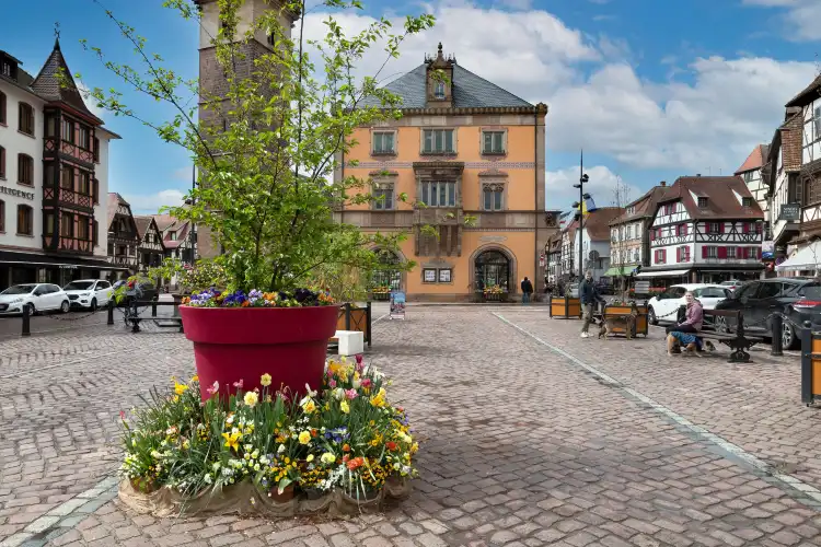 Obernai