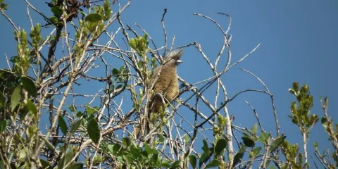 Nahoon Estuary Nature Reserve