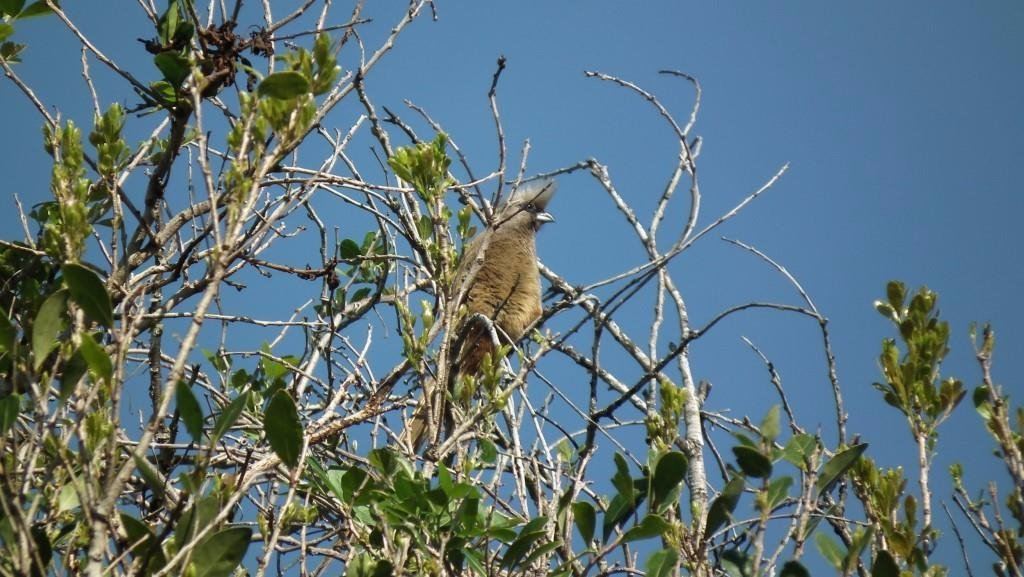 Nahoon Estuary Nature Reserve