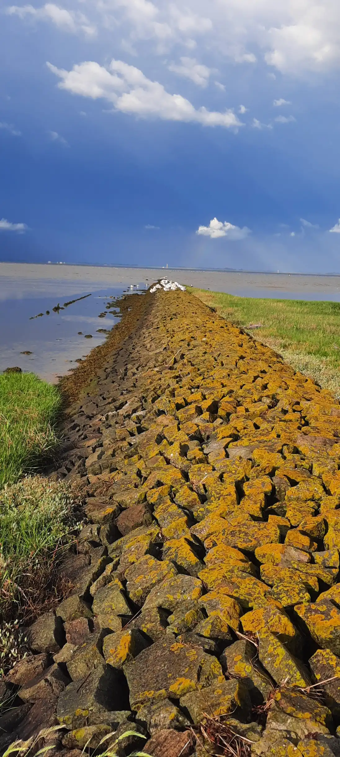 Hotels in der Nähe von Nordsee-Lagune Butjadingen
