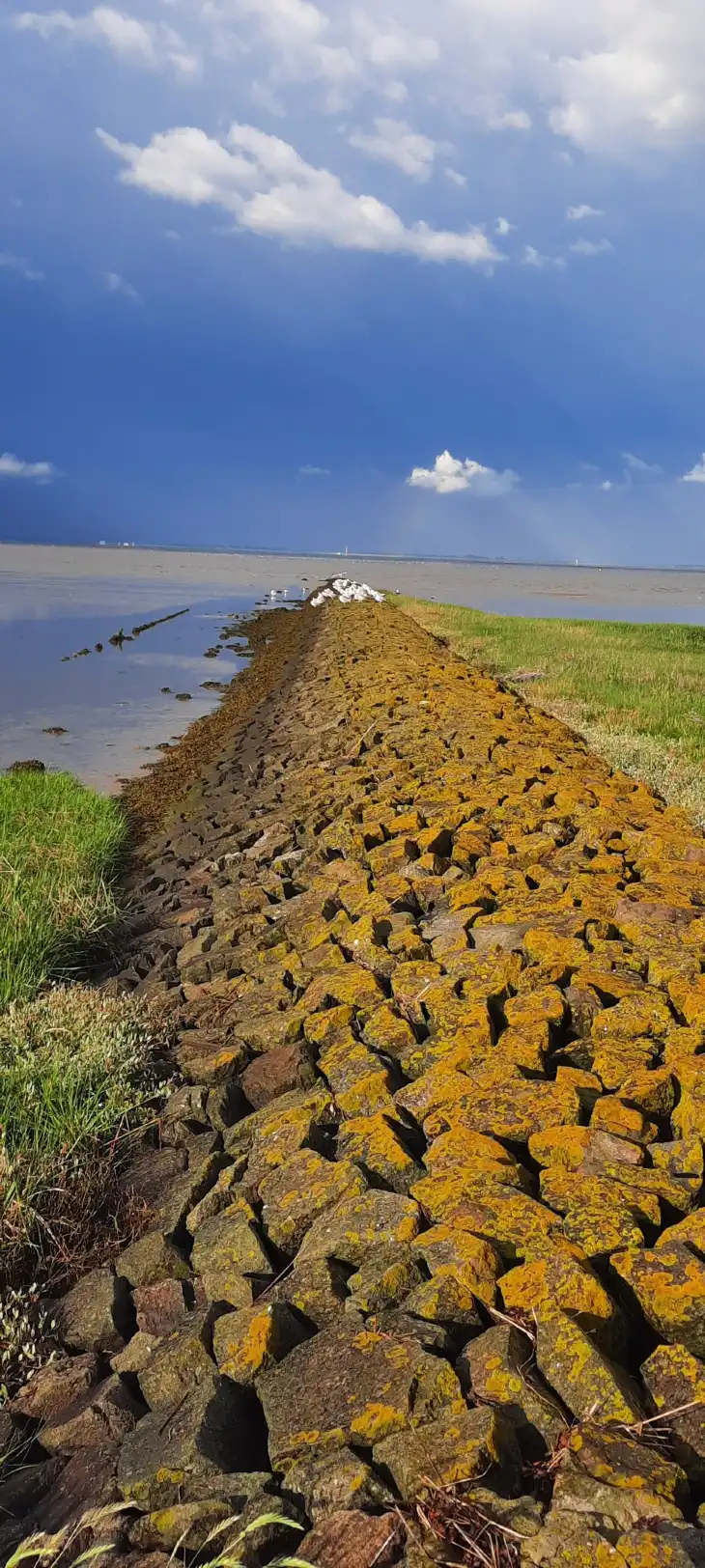 Hotels near Nordsee-Lagune Butjadingen