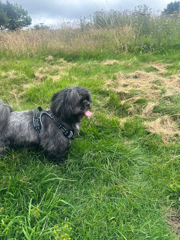 3_SS John Cantius & Nicholas