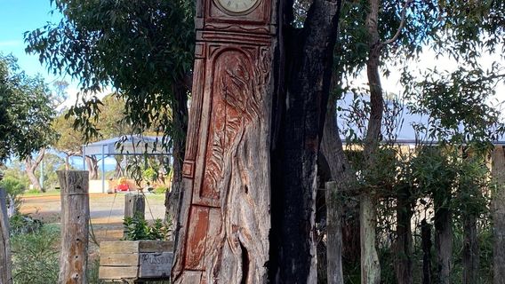 Chainsaw Sculpture viewing