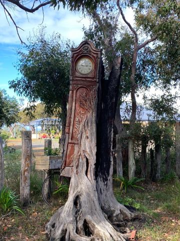 Chainsaw Sculpture viewing
