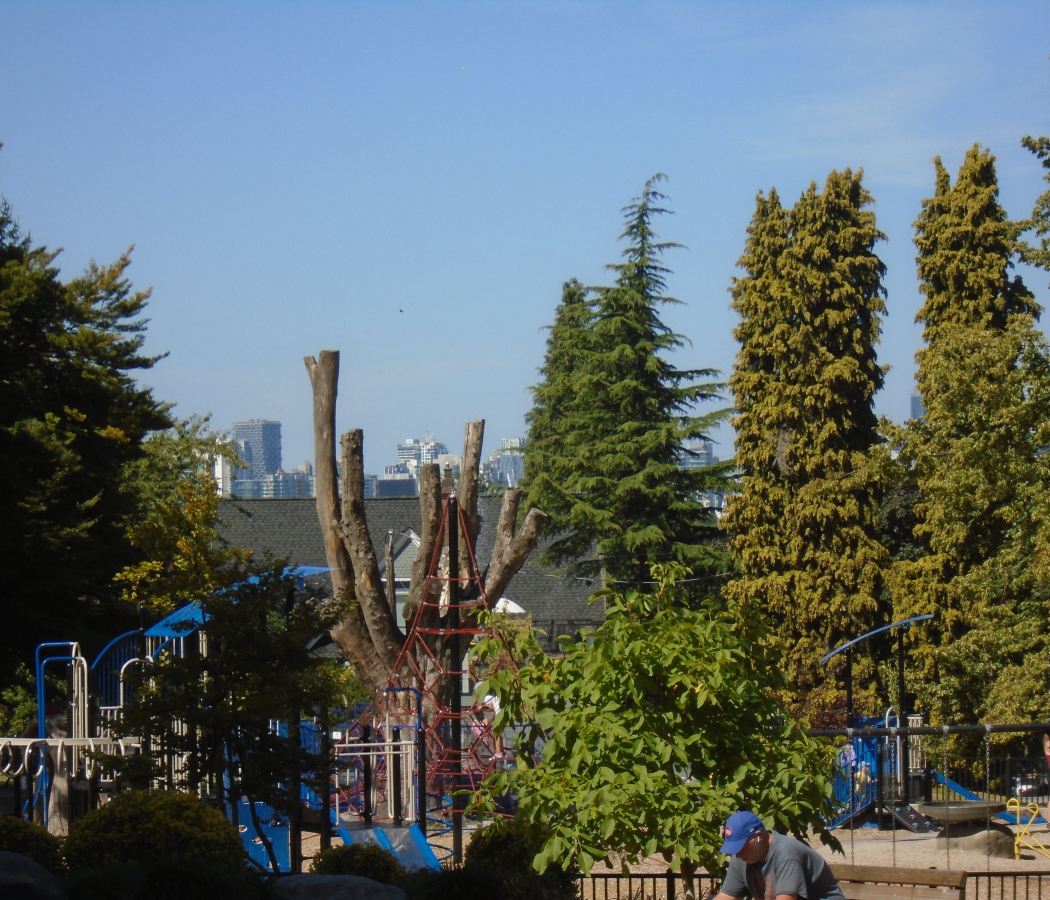 Downtown Eastside