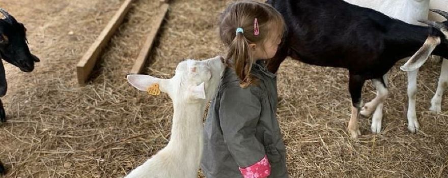 Farm Koza Nostra