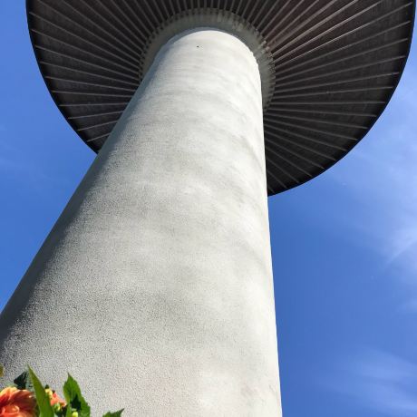 Tornio windmill