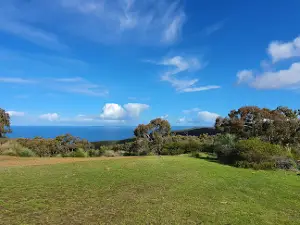 Tapanappa Lookout