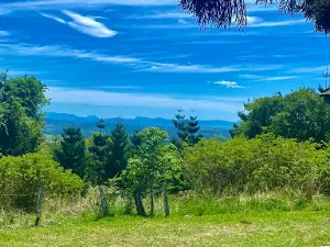 Mallanganee Lookout