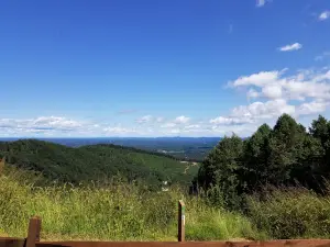 랑데뷰 주립산림공원