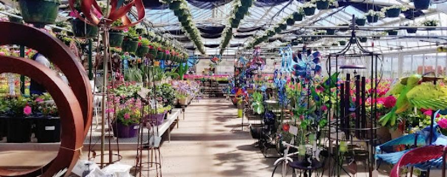Thomsens Garden Center