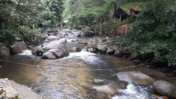 Glamping Pinang Sebatang