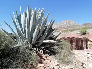 Cementerio de Tortugas