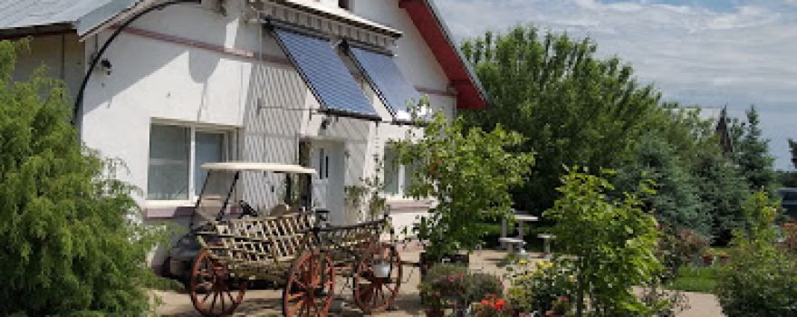 Negoiesti